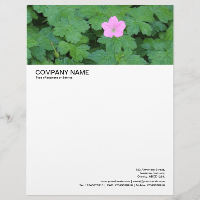 Large Picture Header - Single Geranium Letterhead Design (Front)