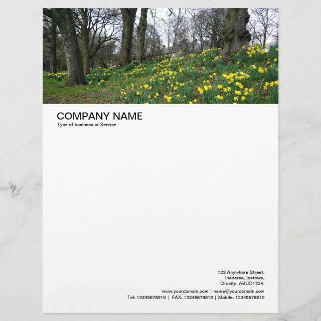 Large Picture Header - Spring in Bute Park Custom Letterhead (Front)