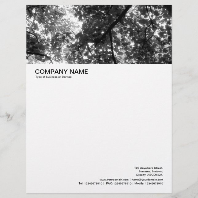 Large Picture Header - Woodland Canopy Personalised Letterhead (Front)