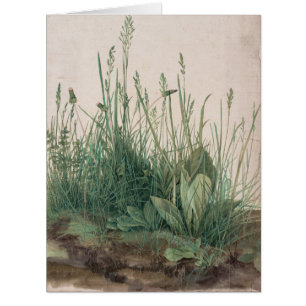 Large Piece of Turf by Albrecht Durer
