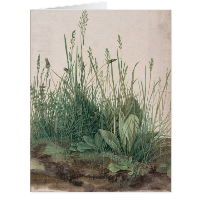 Large Piece of Turf by Albrecht Durer (Front)