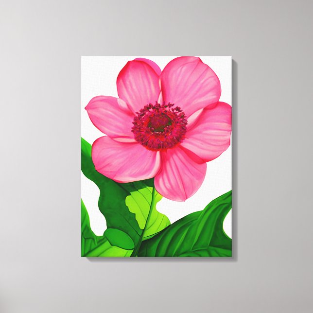 Large Pink Anemone with Emerald Green Leaves Canvas Print (Front)