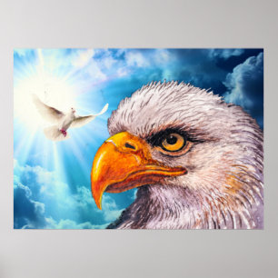 Large Powerful Bald Eagle Poster