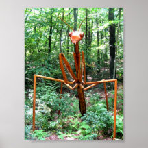 Large Praying Mantis Poster