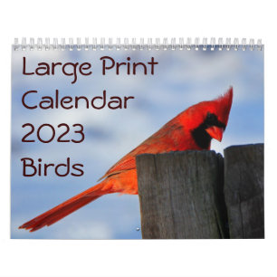 Large Print Calendar 2023 - Birds
