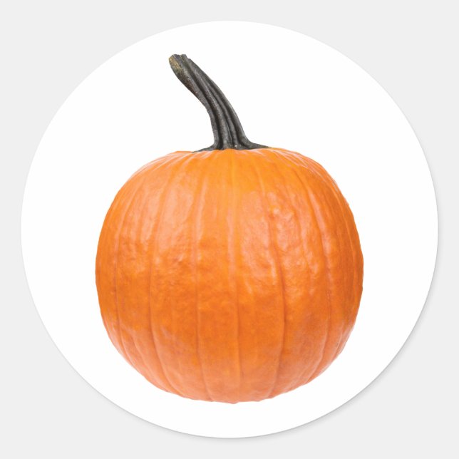 Large Pumpkin Classic Round Sticker (Front)