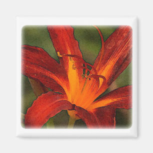 large red day lily graphic impact magnet