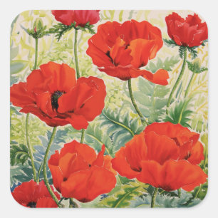 Large Red Poppies Square Sticker