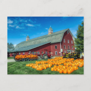 Large Red Vermont Barn With Pumpkins Postcard