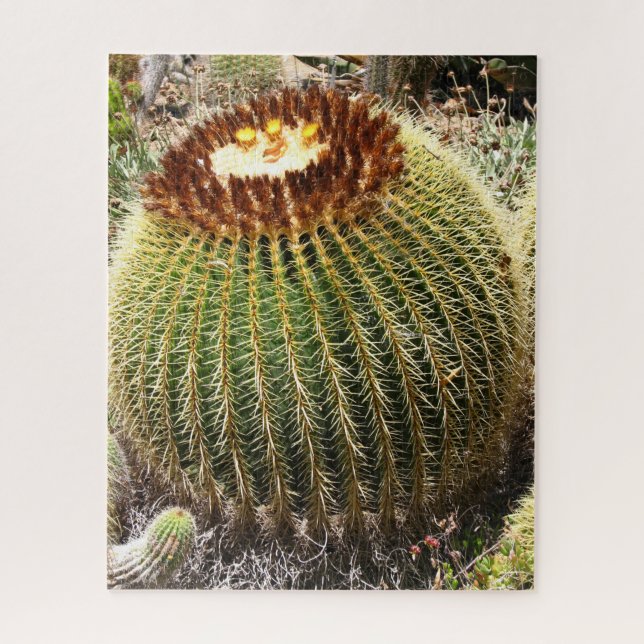 Large Round Prickly Cactus Jigsaw Puzzle (Vertical)
