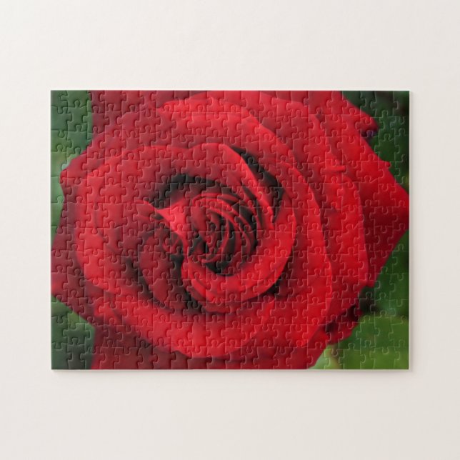 Large Single Red Rose Up Close Jigsaw Puzzle (Horizontal)
