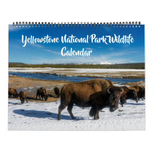 Large Size Yellowstone Calendar-Wildlife Calendar