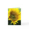 Large Sunflower Get Well or any occasion-customise