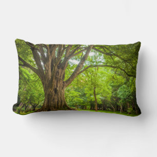 Large Tree in the Park Lumbar Cushion