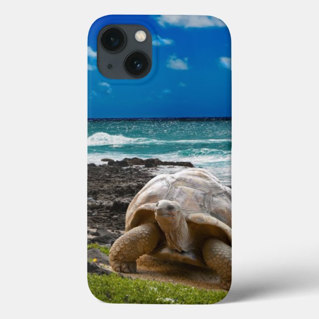 Large turtle at the sea edge Case-Mate iPhone case (Back)