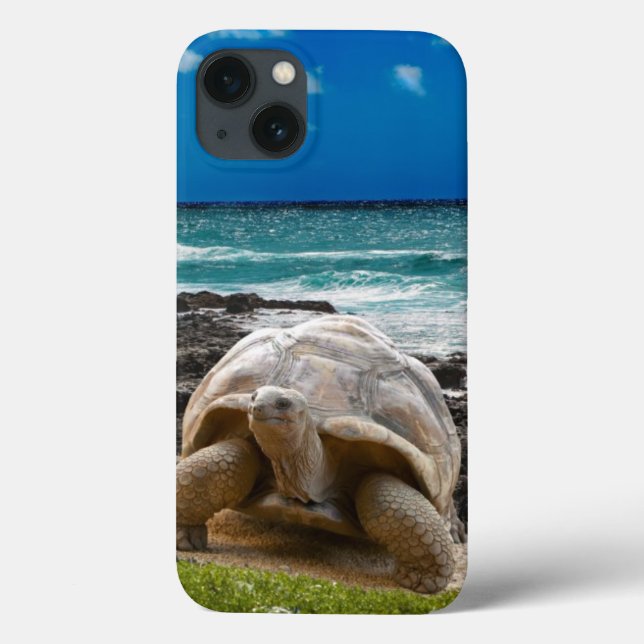 Large turtle at the sea edge Case-Mate iPhone case (Back)