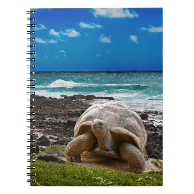 Large turtle at the sea edge notebook (Front)