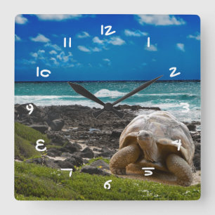 Large turtle at the sea edge square wall clock