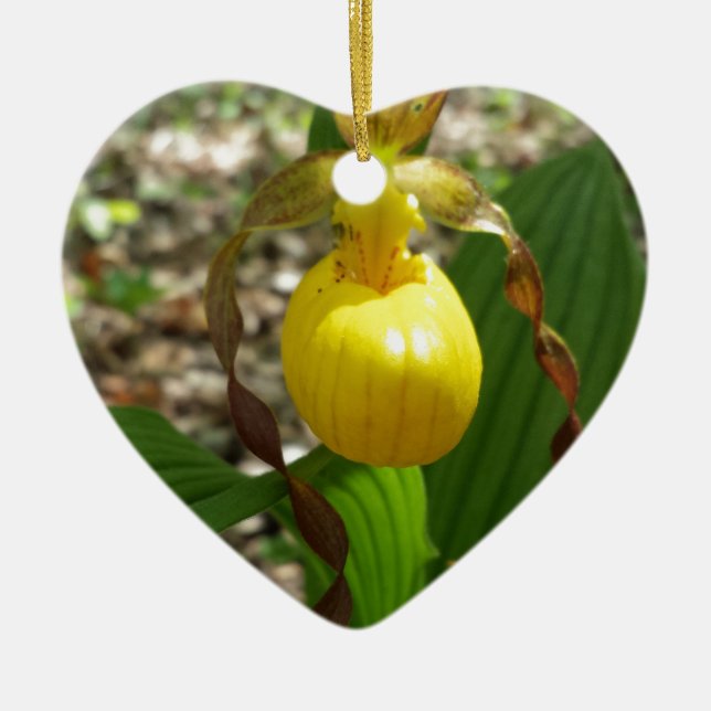 Large Yellow Lady Slipper Cypripedium Ceramic Tree Decoration (Front)