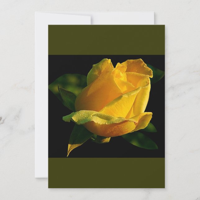 Large Yellow Rose (Front)
