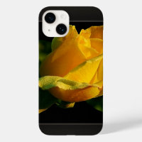 Large Yellow Rose