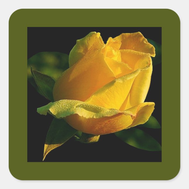 Large Yellow Rose Square Sticker (Front)