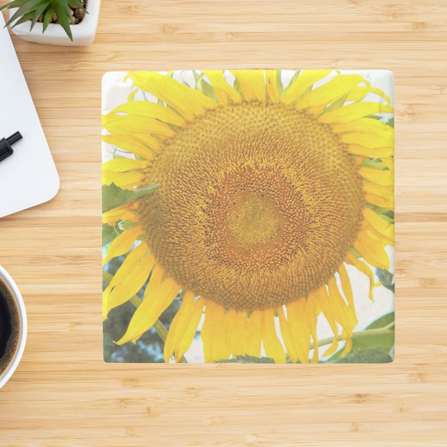Large Yellow Sunflower Floral Stone Coaster (In Situ)