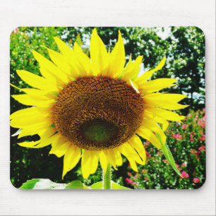 Large yellow Sunflower Mouse Pad