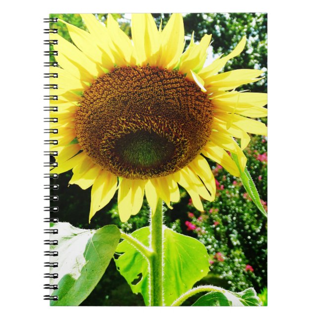 Large yellow Sunflower Notebook (Front)