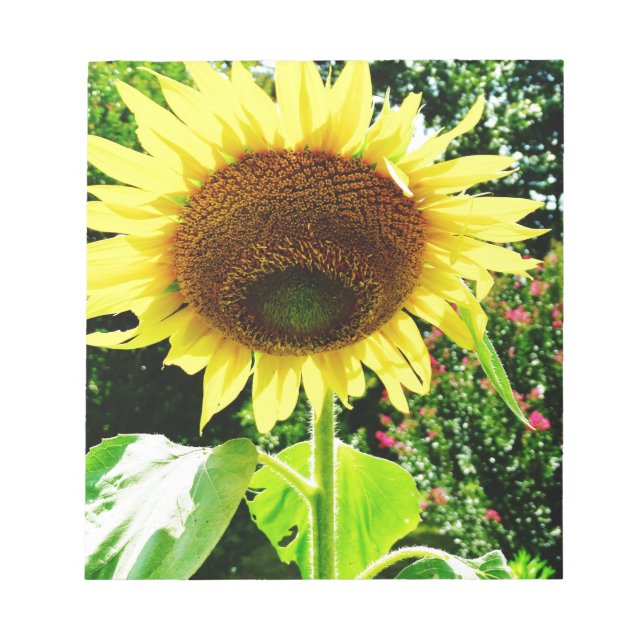 Large yellow Sunflower Notepad (Front)