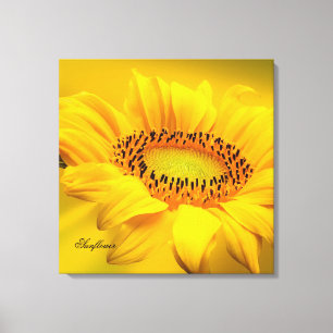 Large Yellow Sunflower Stretched Canvas Print