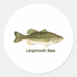 Largemouth Bass Logo (titled) Classic Round Sticker