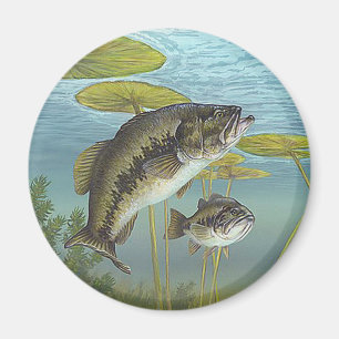 Largemouth Bass Magnet
