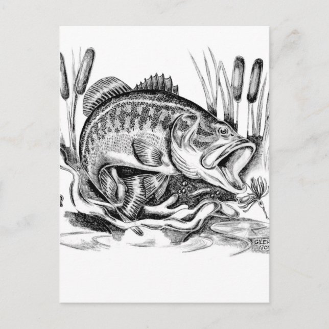 Largemouth Bass Postcard (Front)