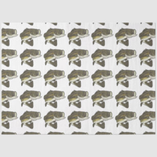 Largemouth Bass Tissue Paper