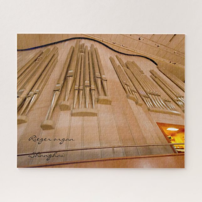Largest organ in China puzzle (Horizontal)