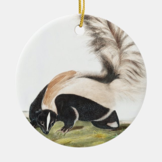 LargeTailed Skunk Mephitis macroura Illustration Ceramic Tree Decoration (Front)