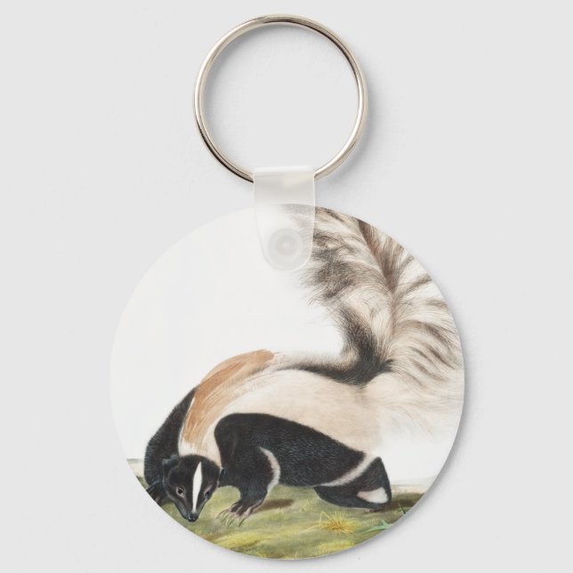 LargeTailed Skunk Mephitis macroura Illustration Key Ring (Front)