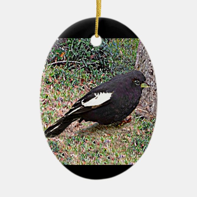 Lark Bunting (Colorado) Ceramic Tree Decoration (Front)
