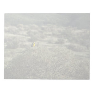Lark on the Bush Notepad