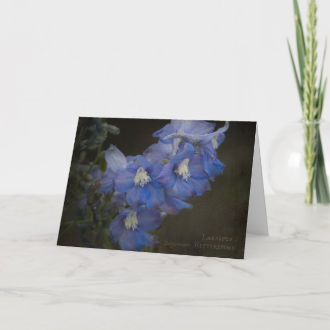 Larkspur Greeting Card (Front)