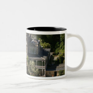 Larnach Castle, Dunedin, New Zealand - aerial Two-Tone Coffee Mug