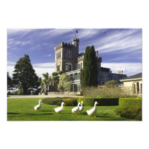 Larnach Castle, Otago Peninsula, Dunedin, Photo Print
