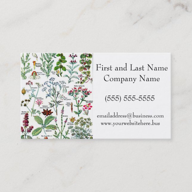 Larousse Digestive Plants Nature Garden Art  Business Card (Front)