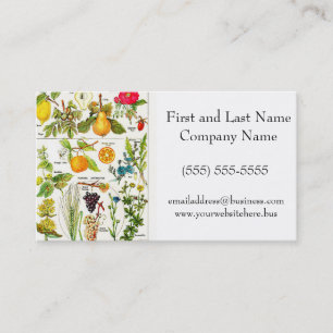 Larousse Fruit Orange Pear Grape Garden Nature Art Business Card