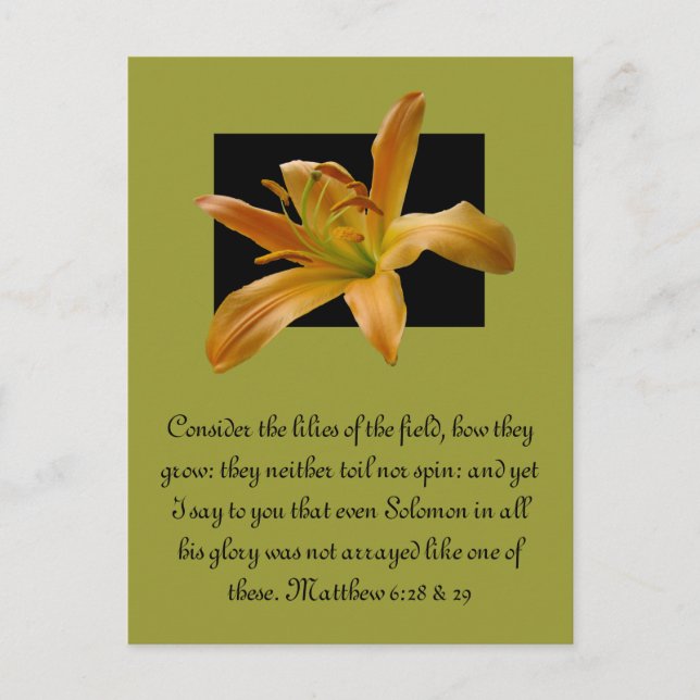 Larry's Orange Lily Postcard (Front)