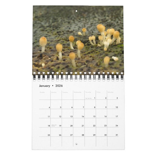 Las Encantadas Calendar (Jan 2026)