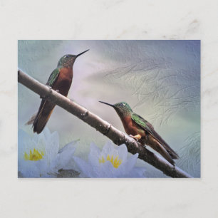 Las Gemas Postcard