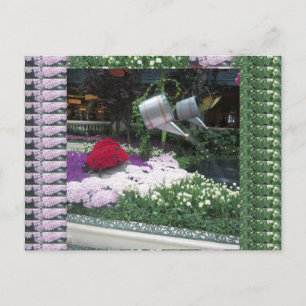 Las Vegas Butterfly Park LadyBugs Postcard