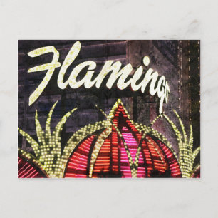 Las Vegas Flamingo Postcard